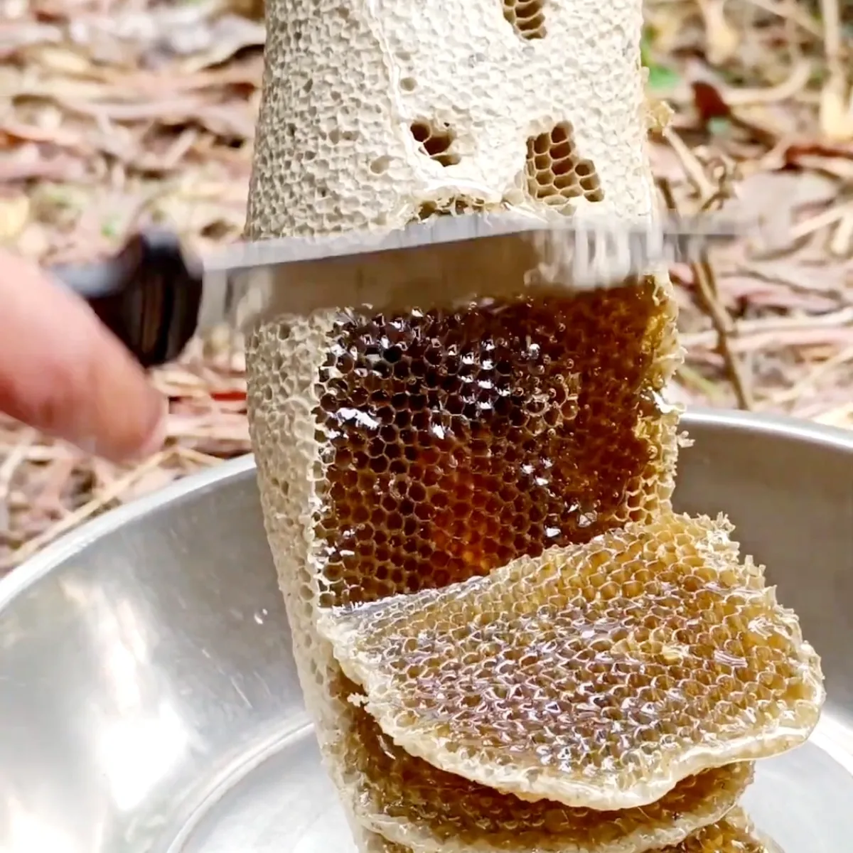 Natural Honeycomb – Small Piece