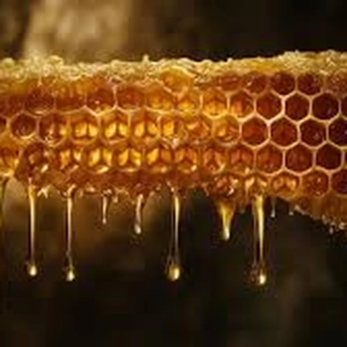 Sidr Small Bee Honey – Premium Bees