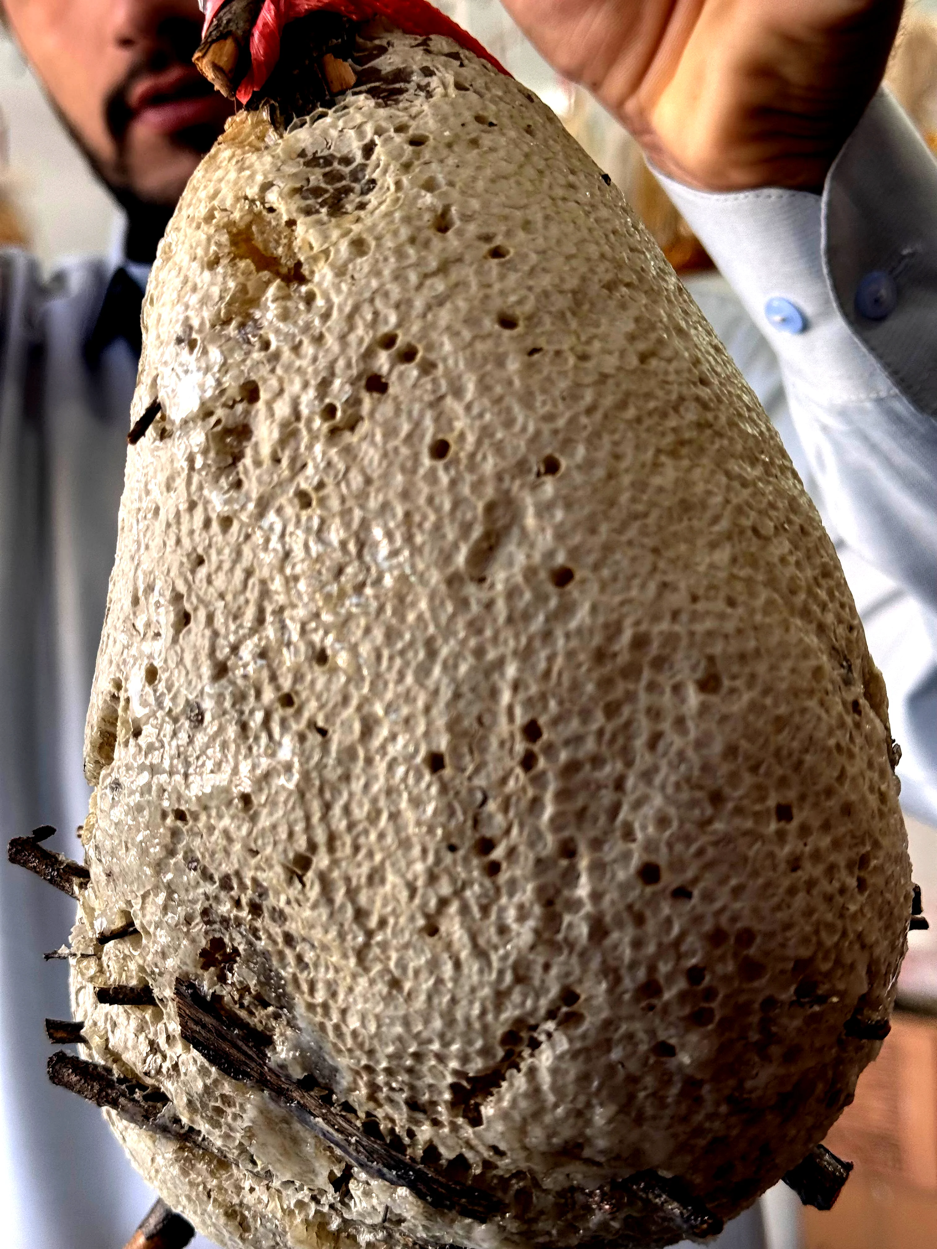 Natural Honeycomb – Small Piece